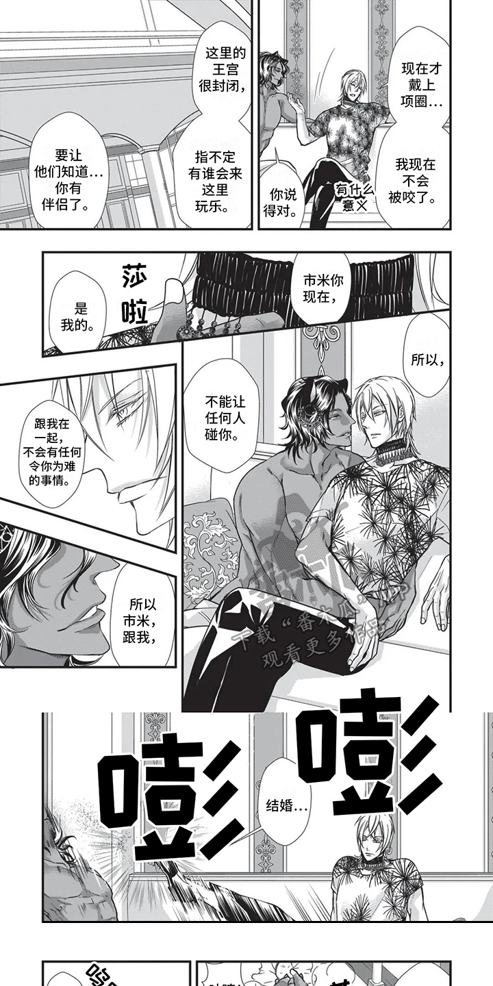 第23章：讨厌斗争0