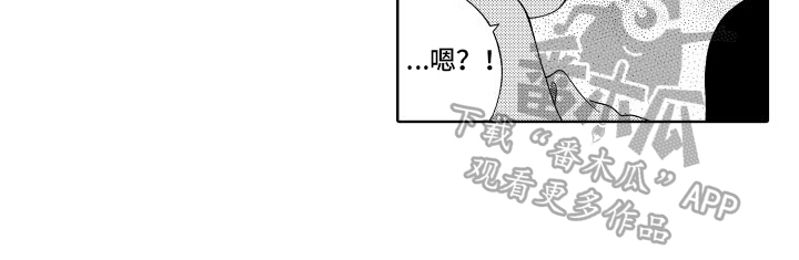 第15章：住宿12
