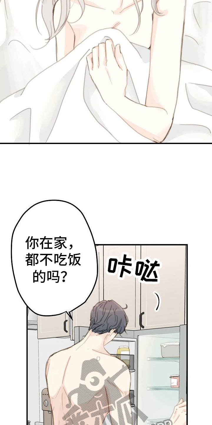 第17章：清醒8