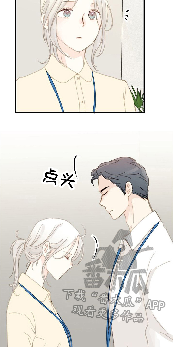 第19章：忽略5
