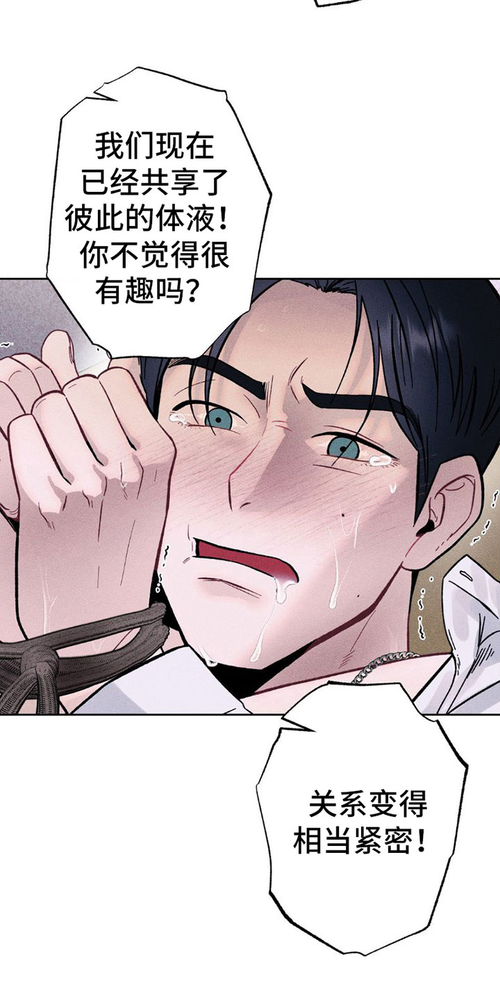 第6章：疯狂12