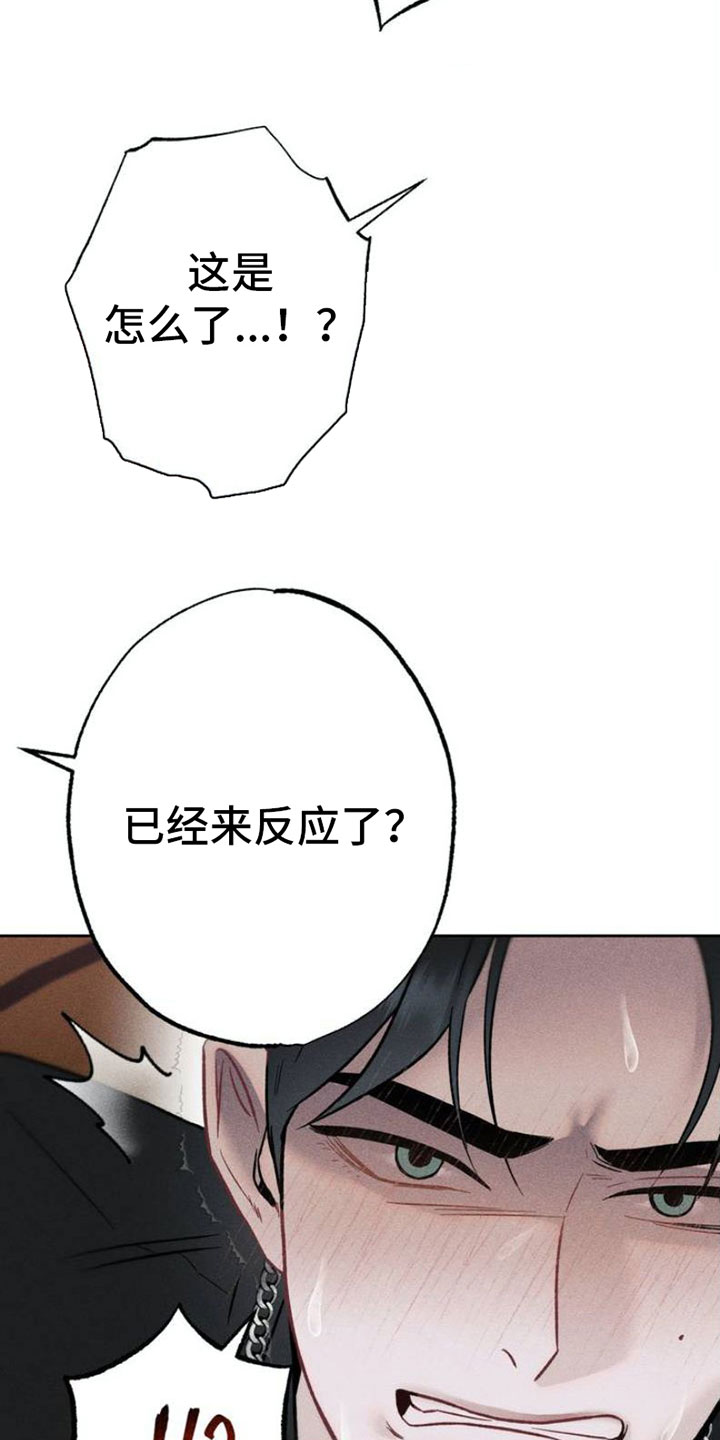第2章：报复6