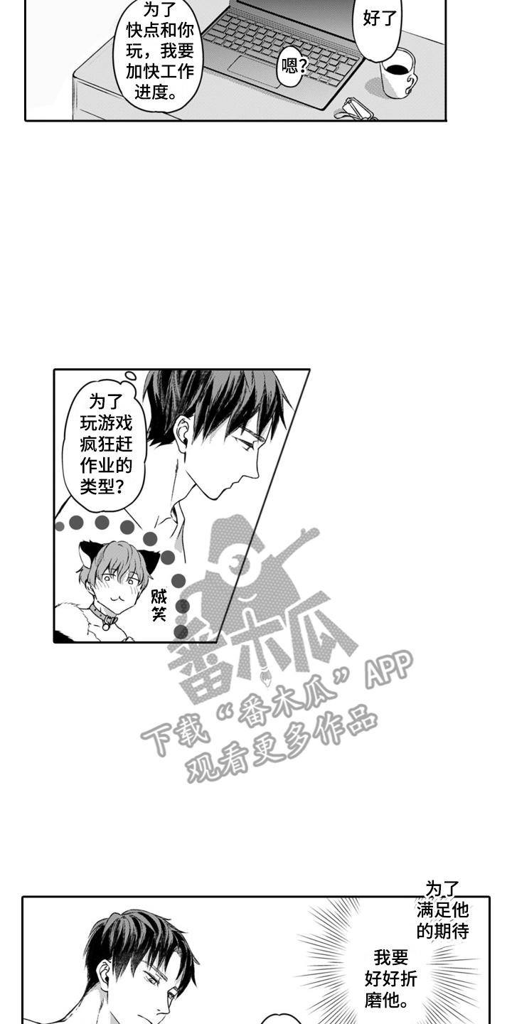第4章：小猫咪11