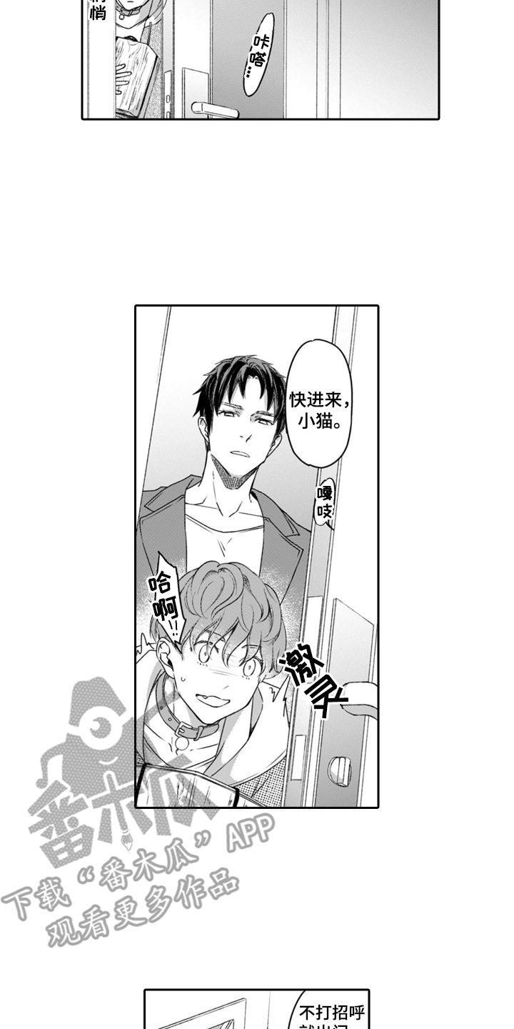 第4章：小猫咪5