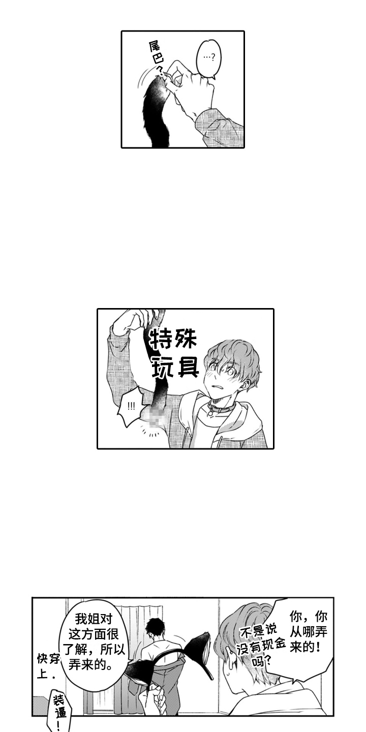 第4章：小猫咪8