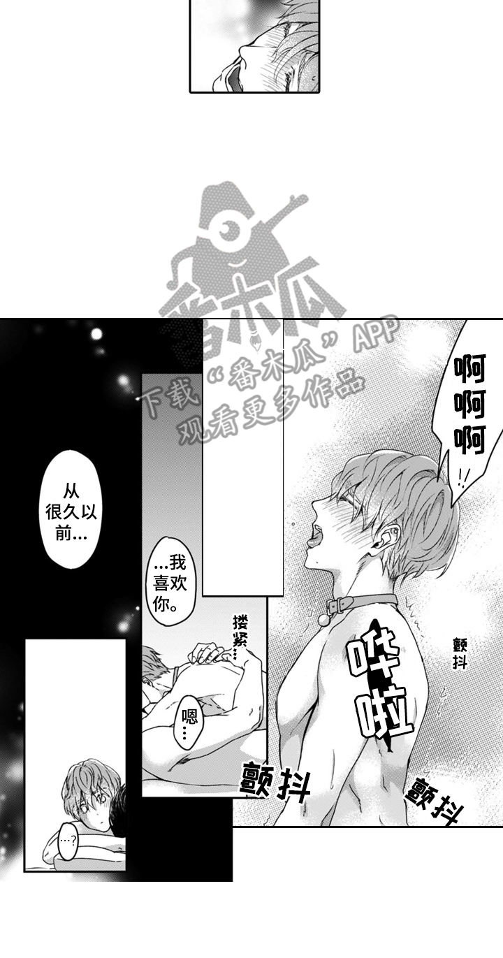 第14章：喜欢你15