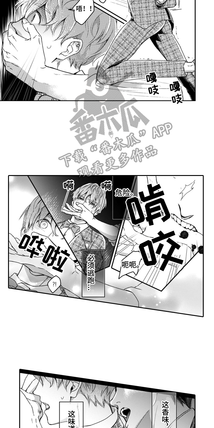 第20章： 熟悉的香味5