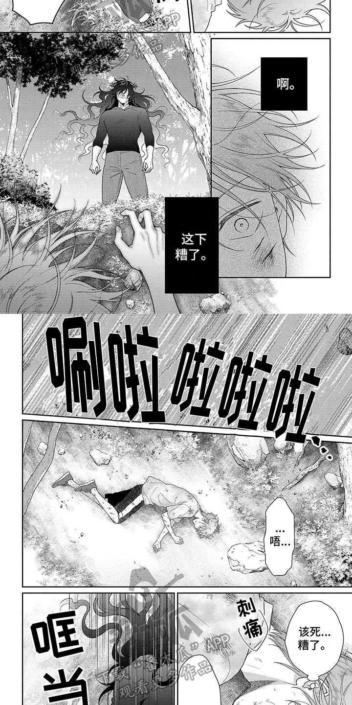 第32章：追杀1