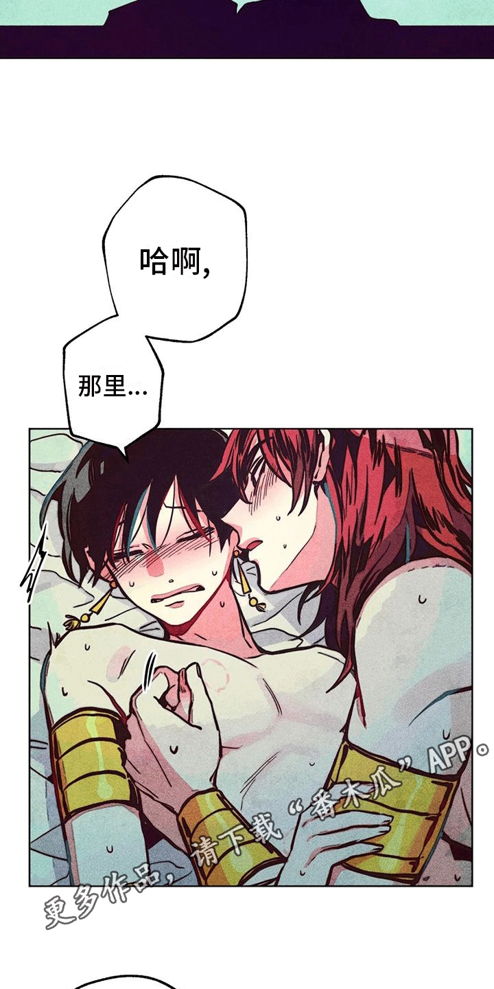 第30章：净化30