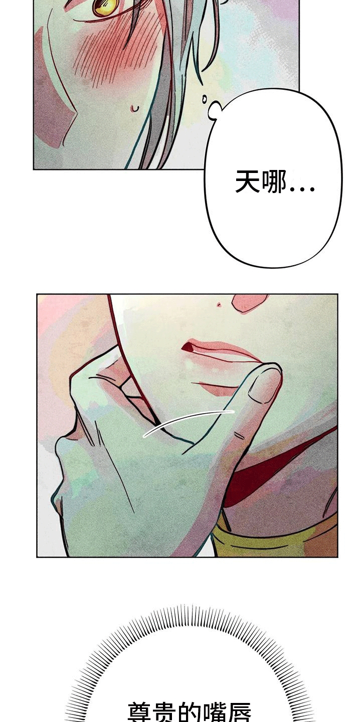 第17章：触碰16