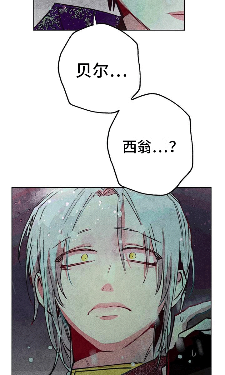 第41章：带走20