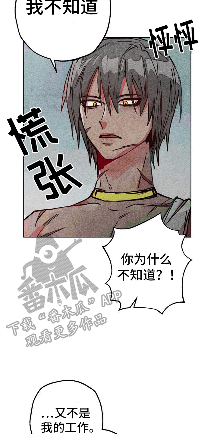 第34章：参加庆典11