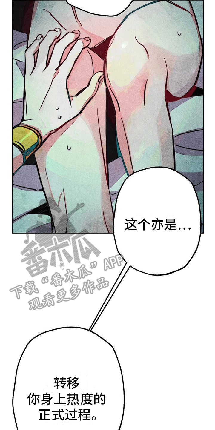 第23章：转移17