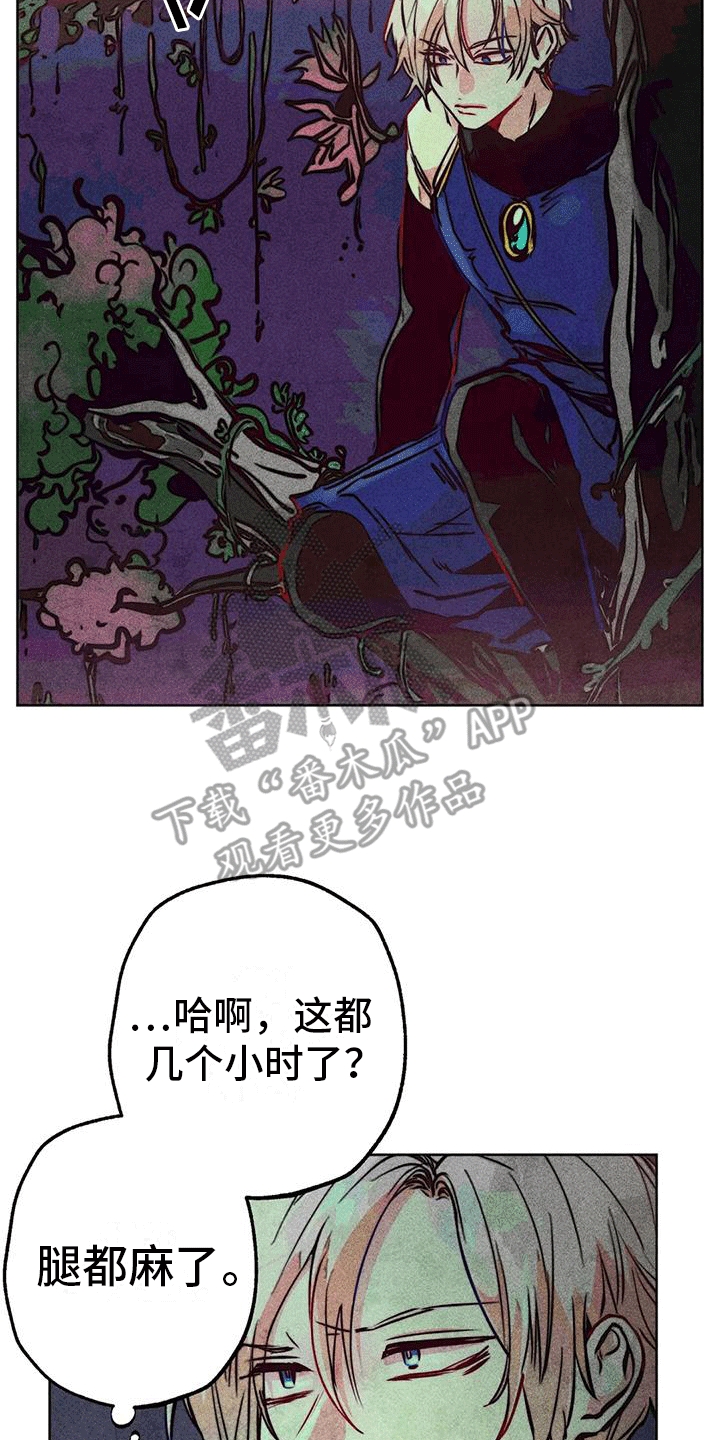 第45章：庭院14