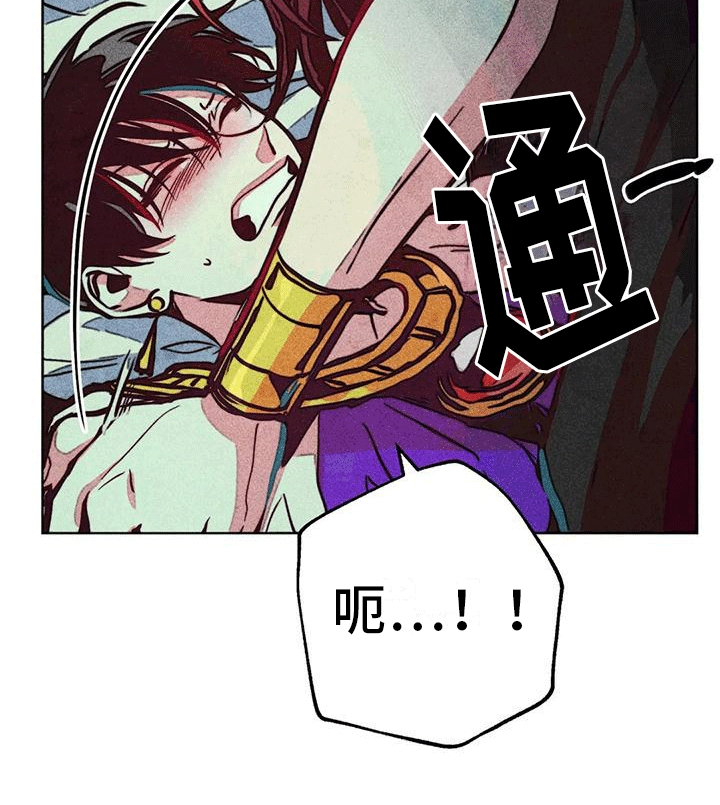 第28章：疯狂17