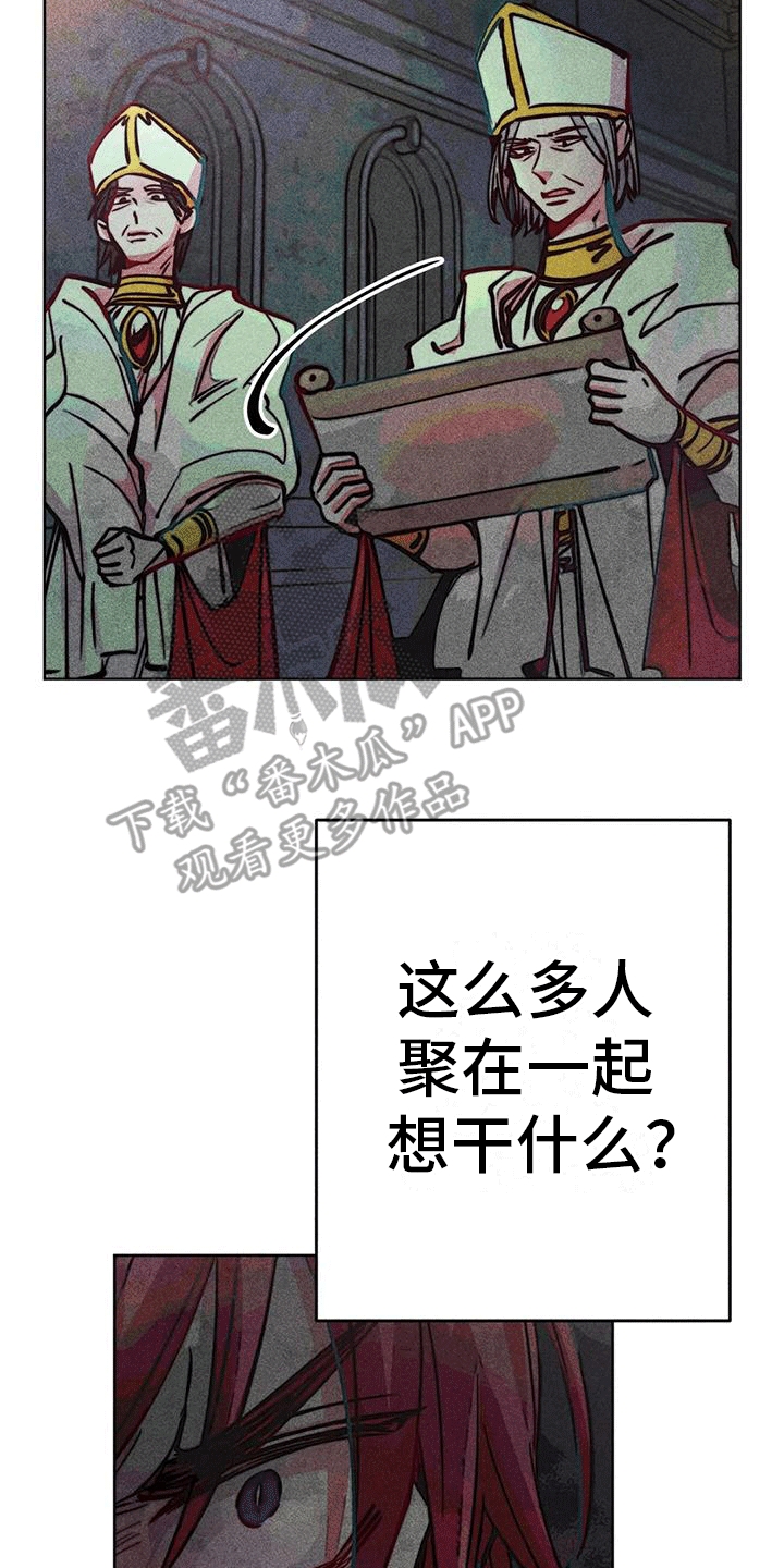 第44章：选举仪式。10