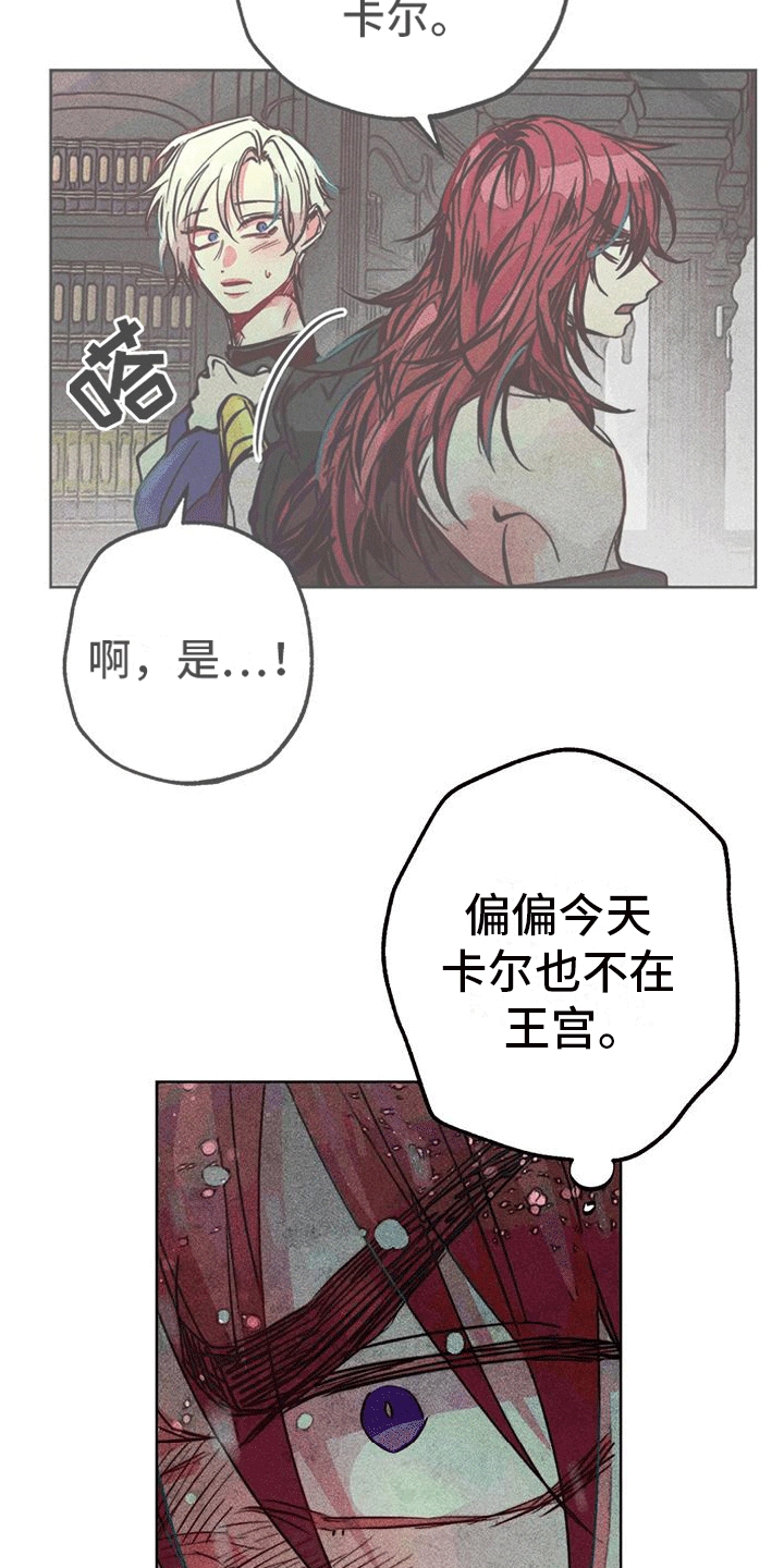 第40章：寻找29