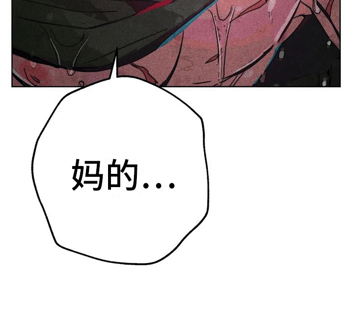 第24章：偶遇29