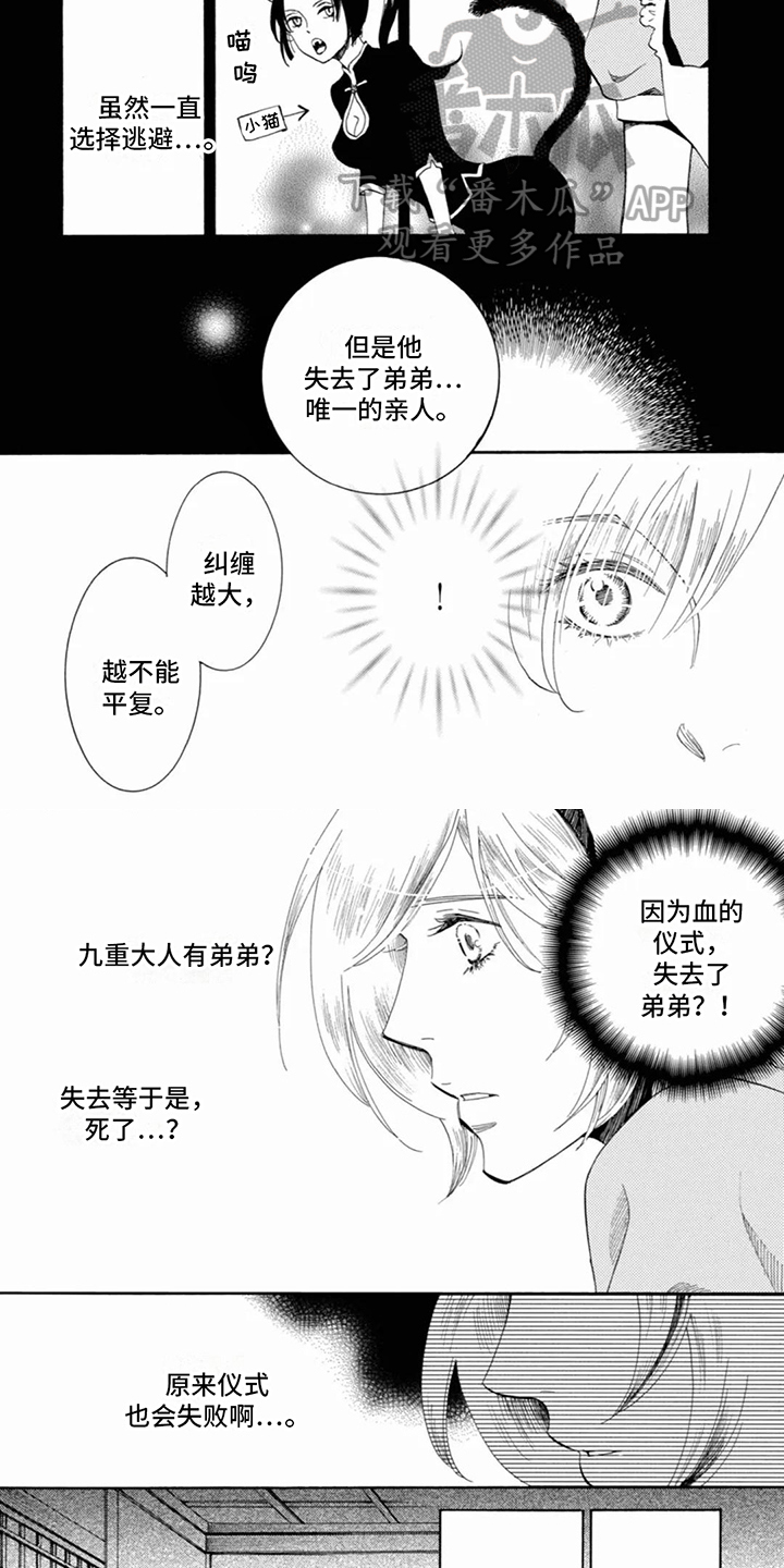 第21章：我的答案3