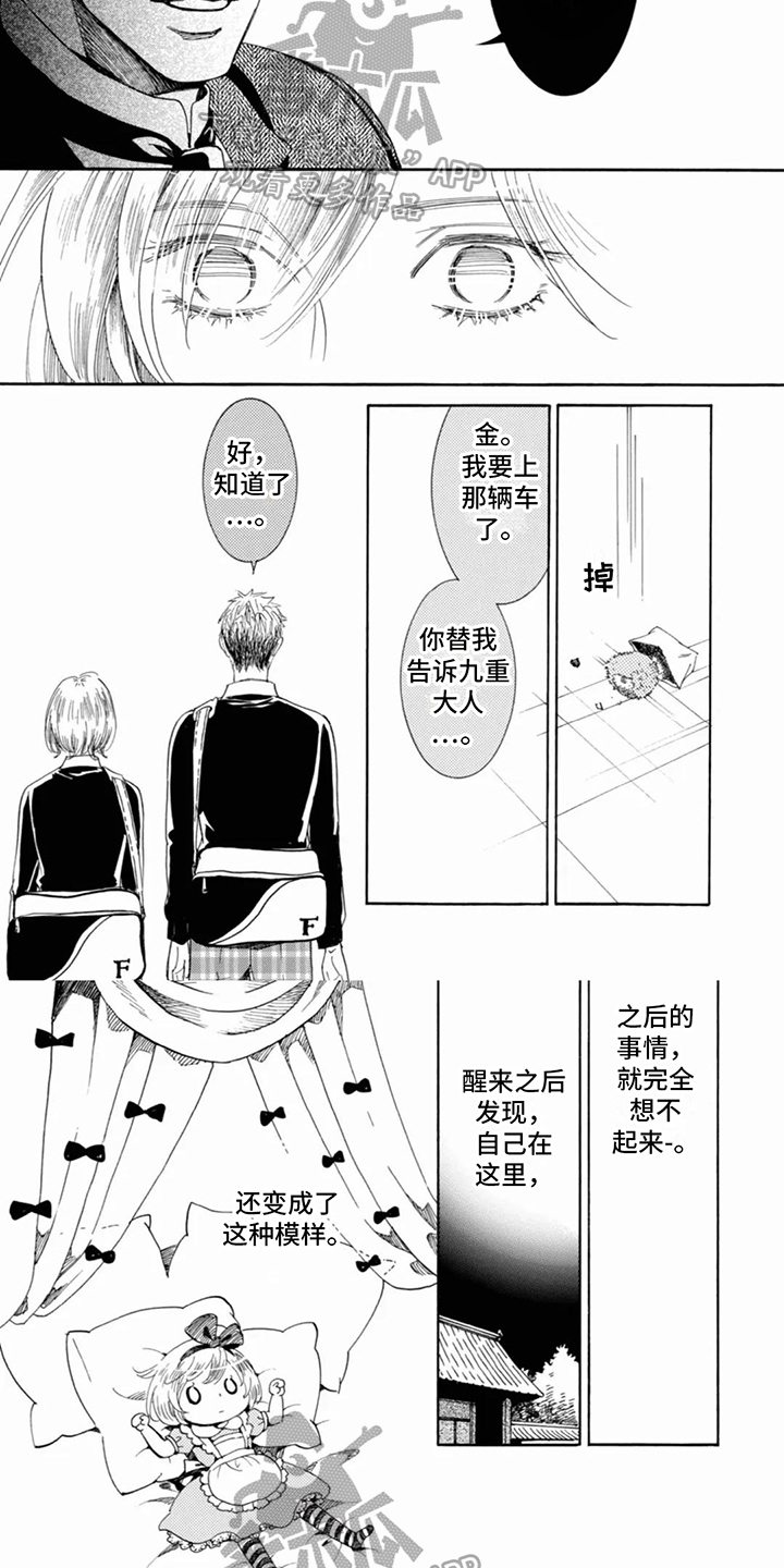第19章：带走5