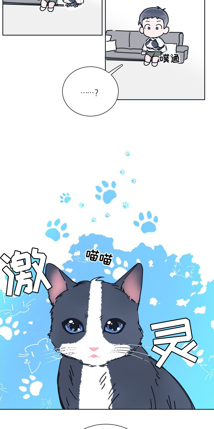 第6章：很像3