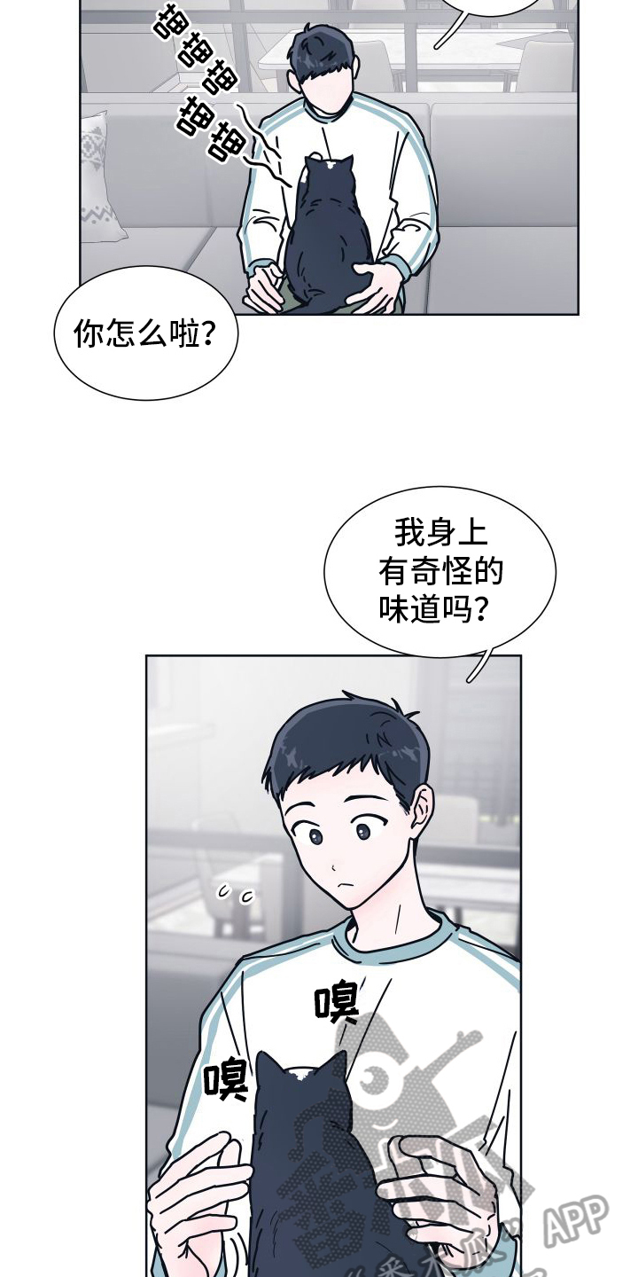 第6章：很像6