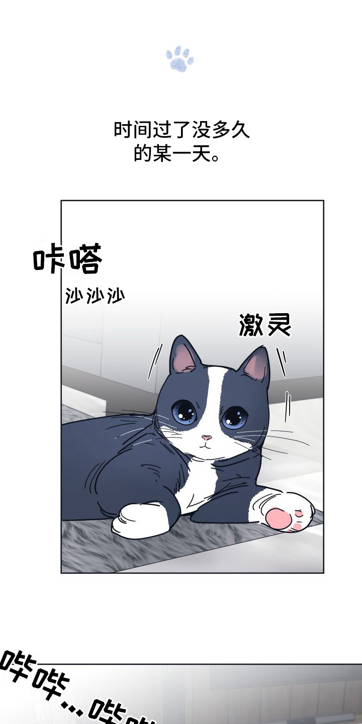 第9章：坠入爱河【完结】13