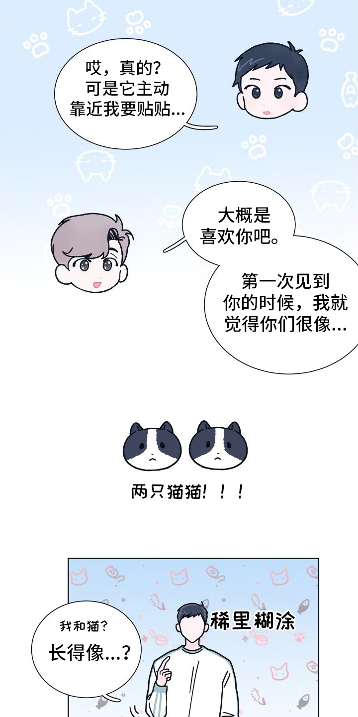 第6章：很像16
