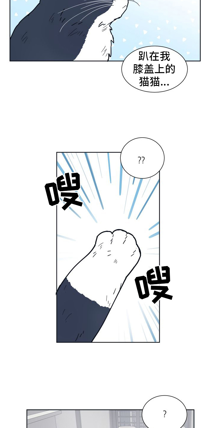 第6章：很像5