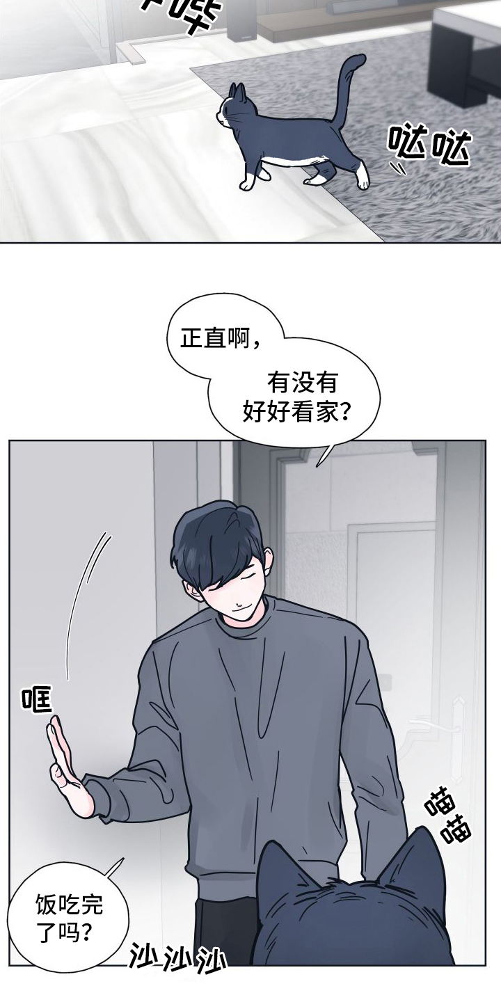 第9章：坠入爱河【完结】14