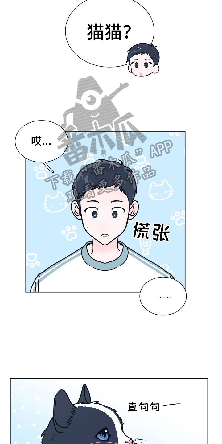 第6章：很像4