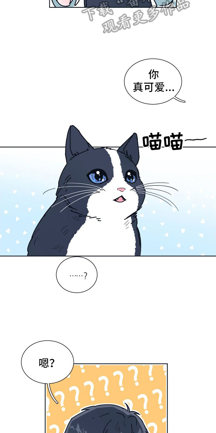 第6章：很像7
