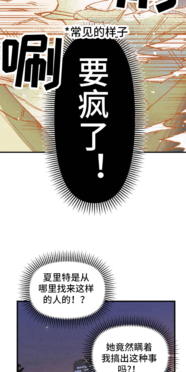 第5章：完美10