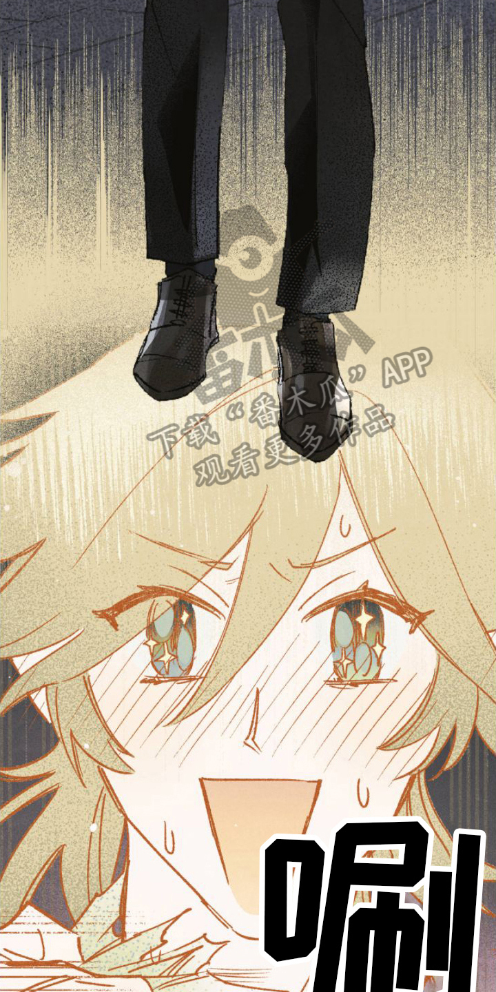第5章：完美9