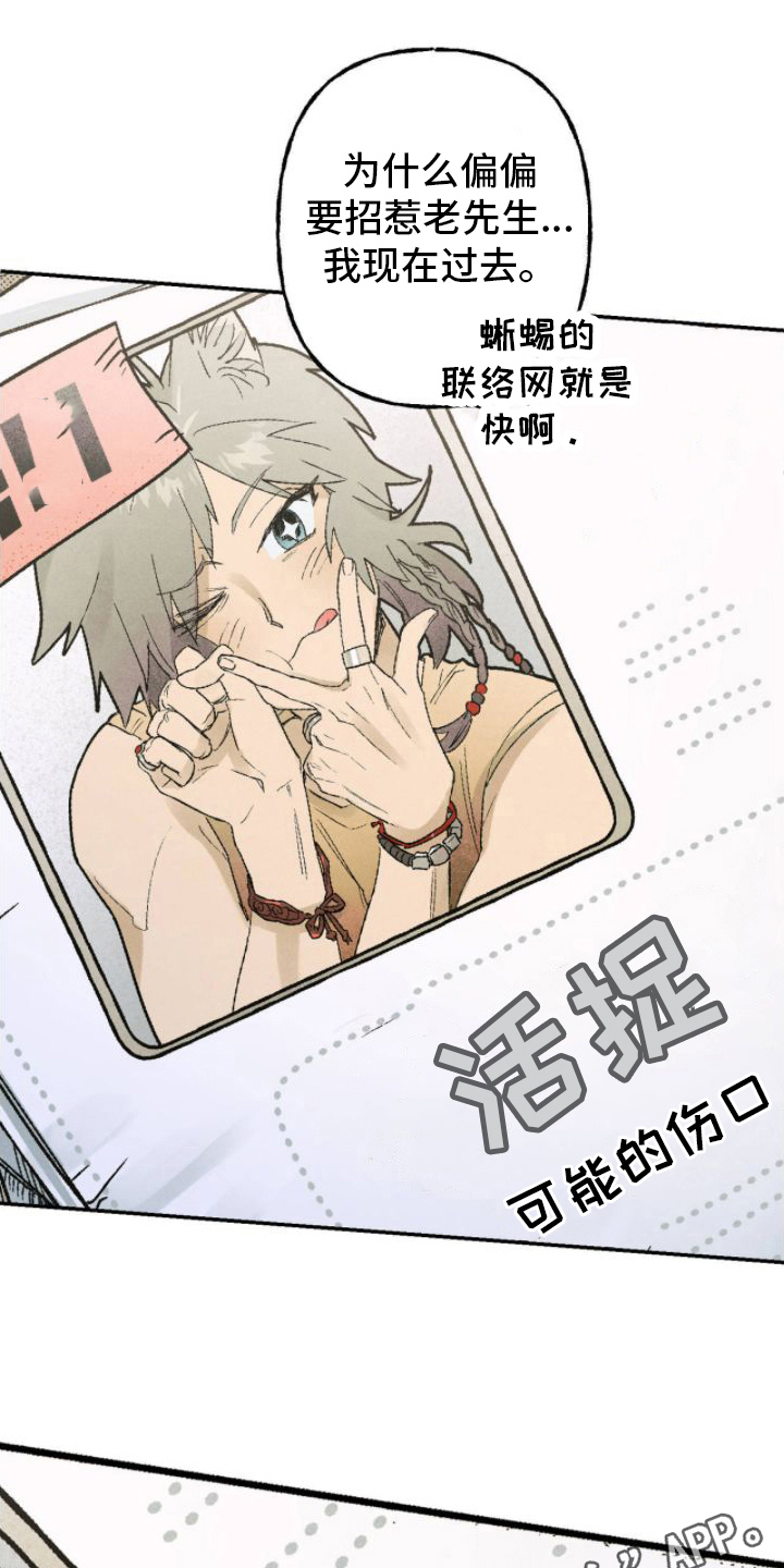 第17章：出手19
