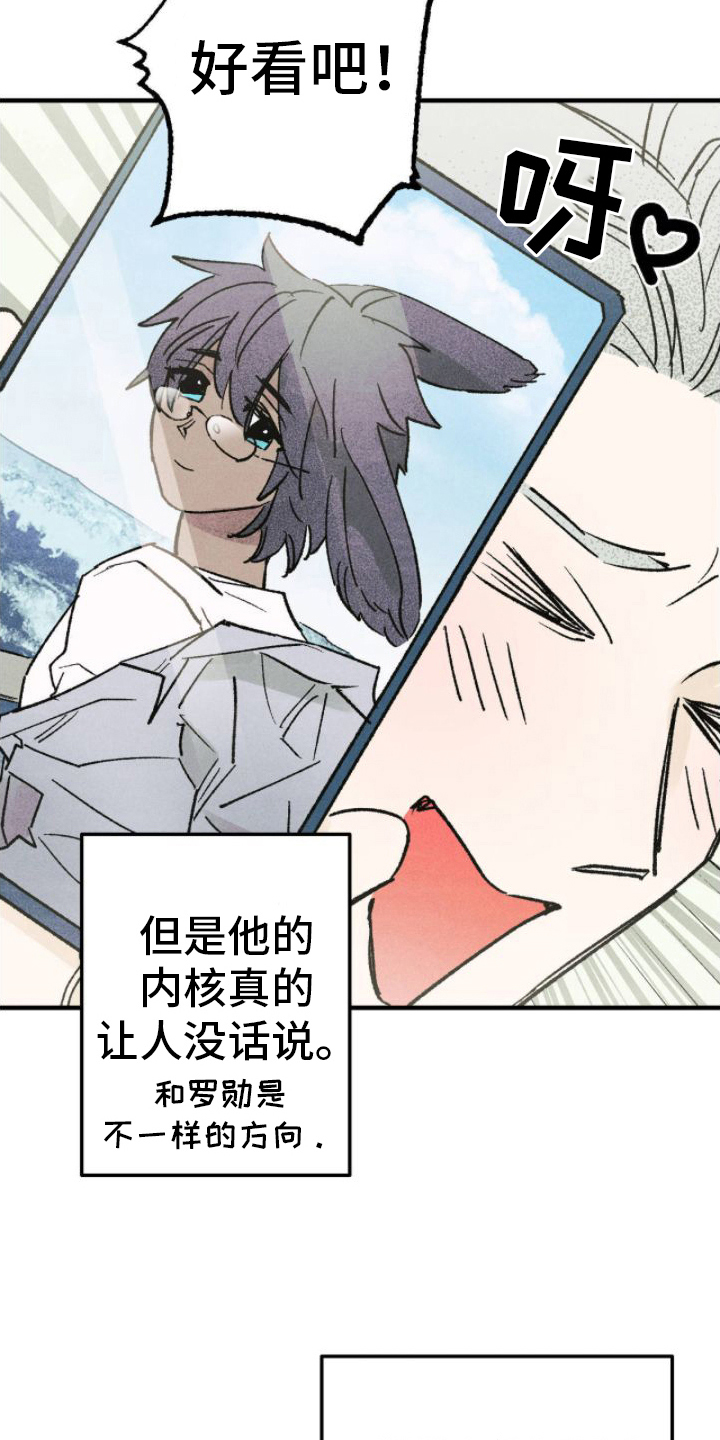 第17章：出手2