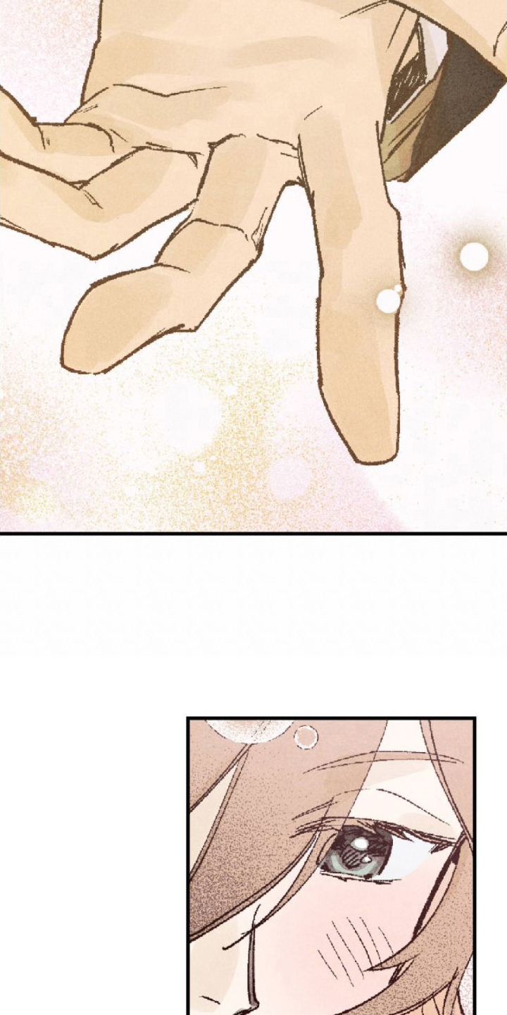 第5章：完美13