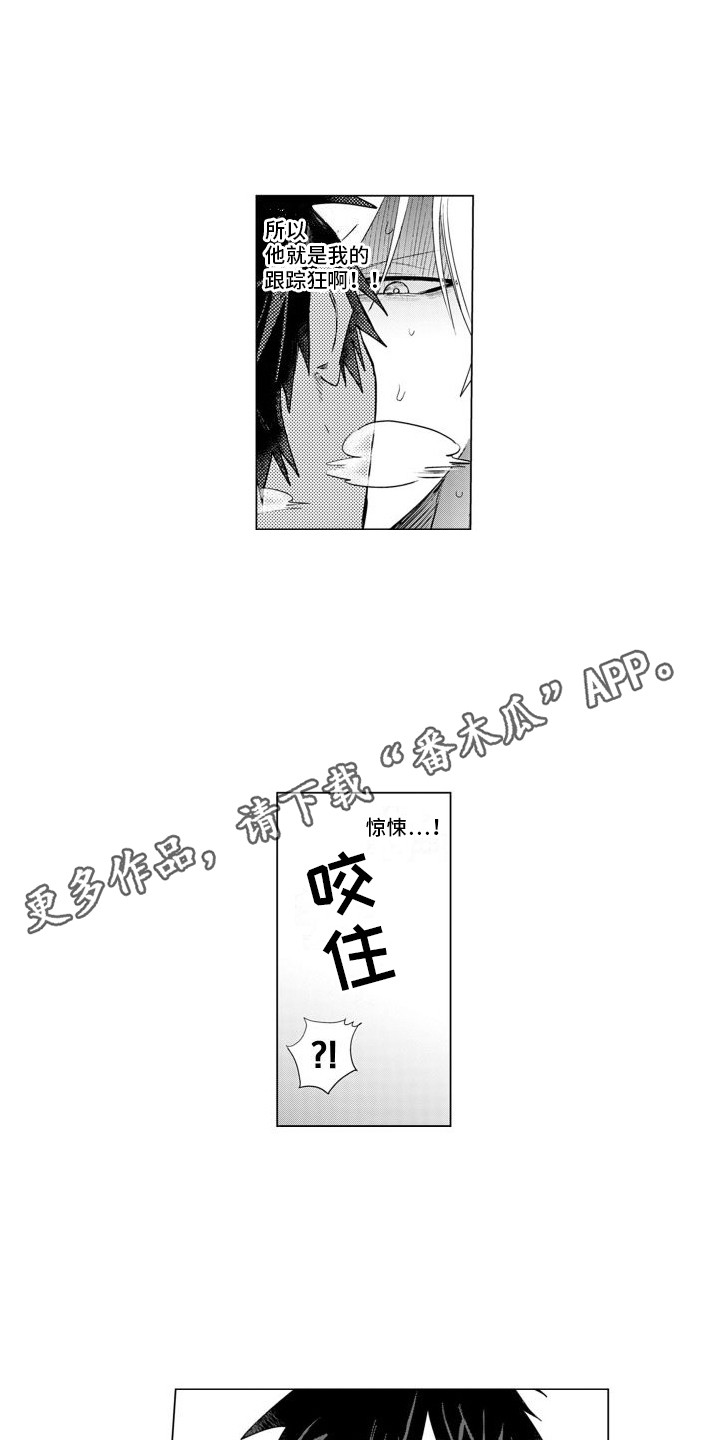 第4章：奇特反应4