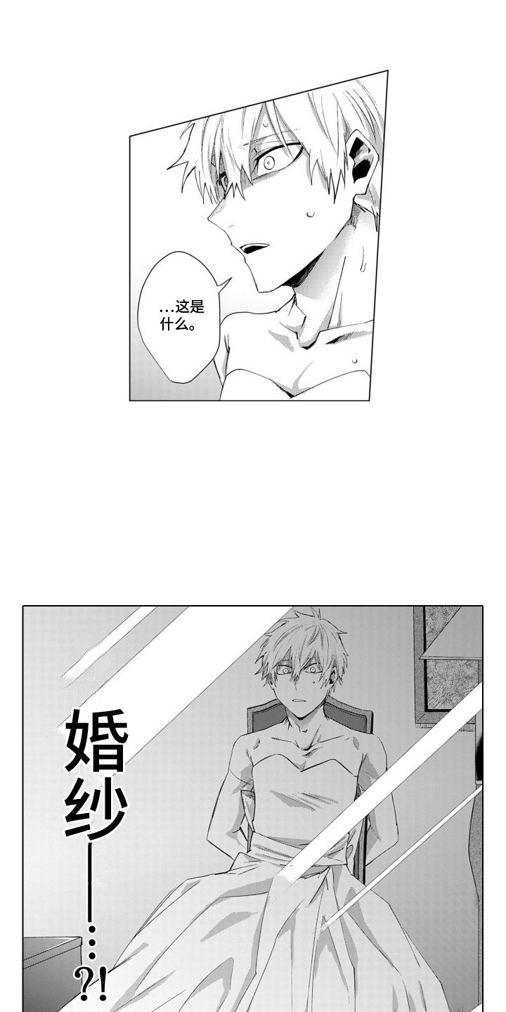 第3章：婚纱8