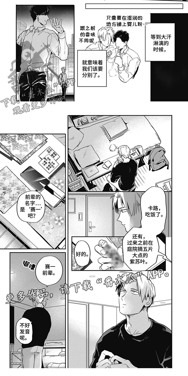 第7章：折纸4