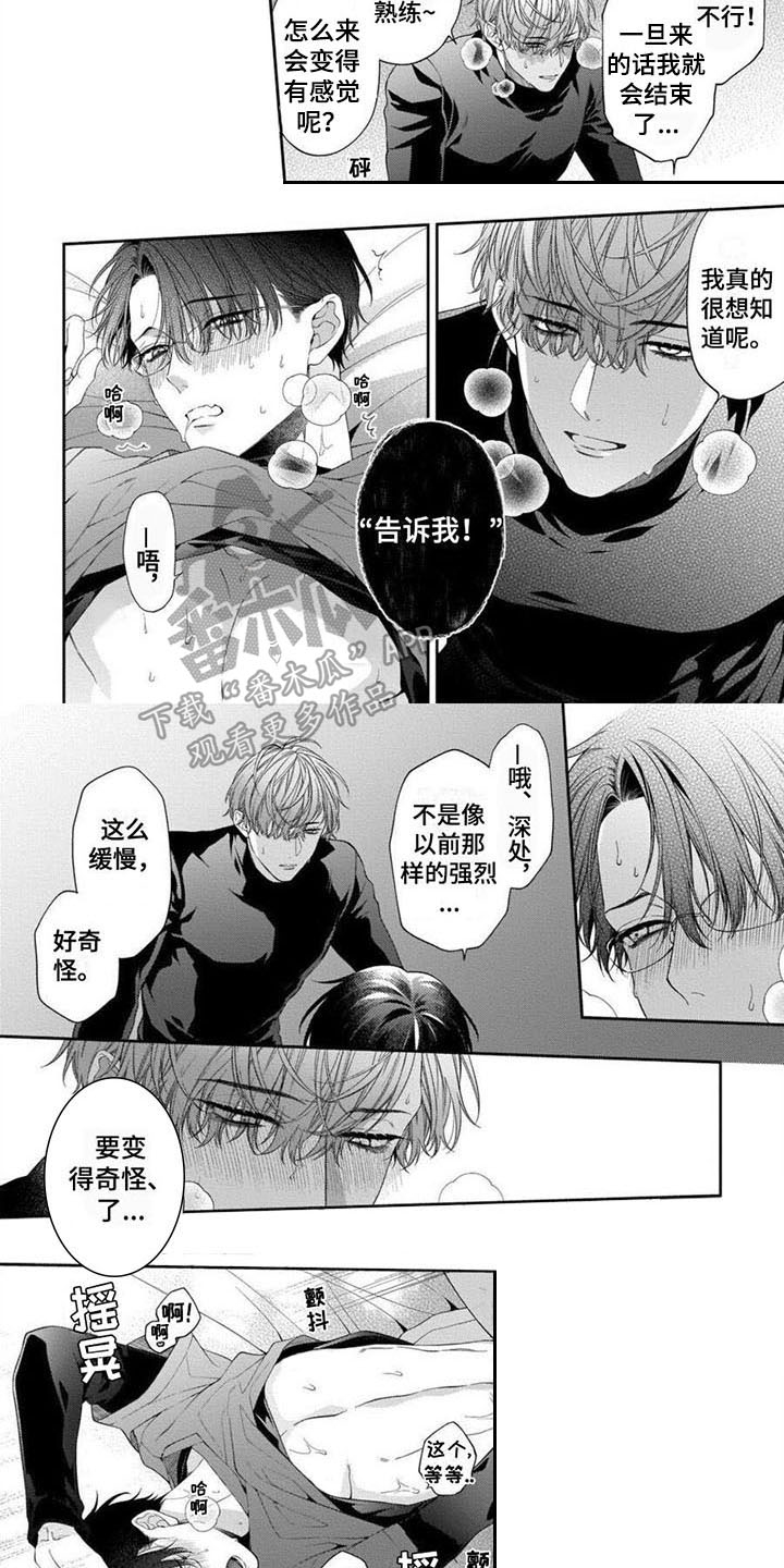 第6章：验证4