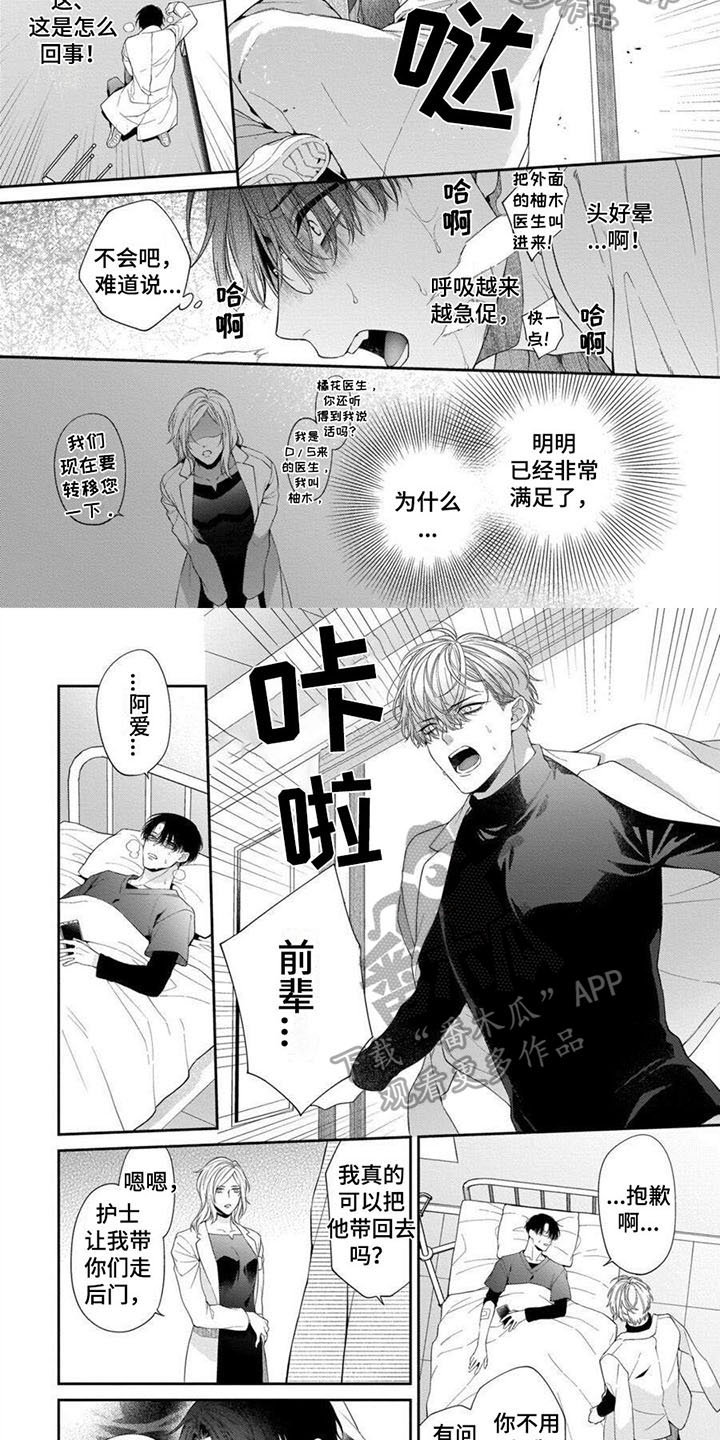 第5章：分析1