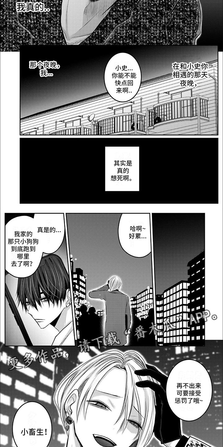 第11章：逃跑的小狗8