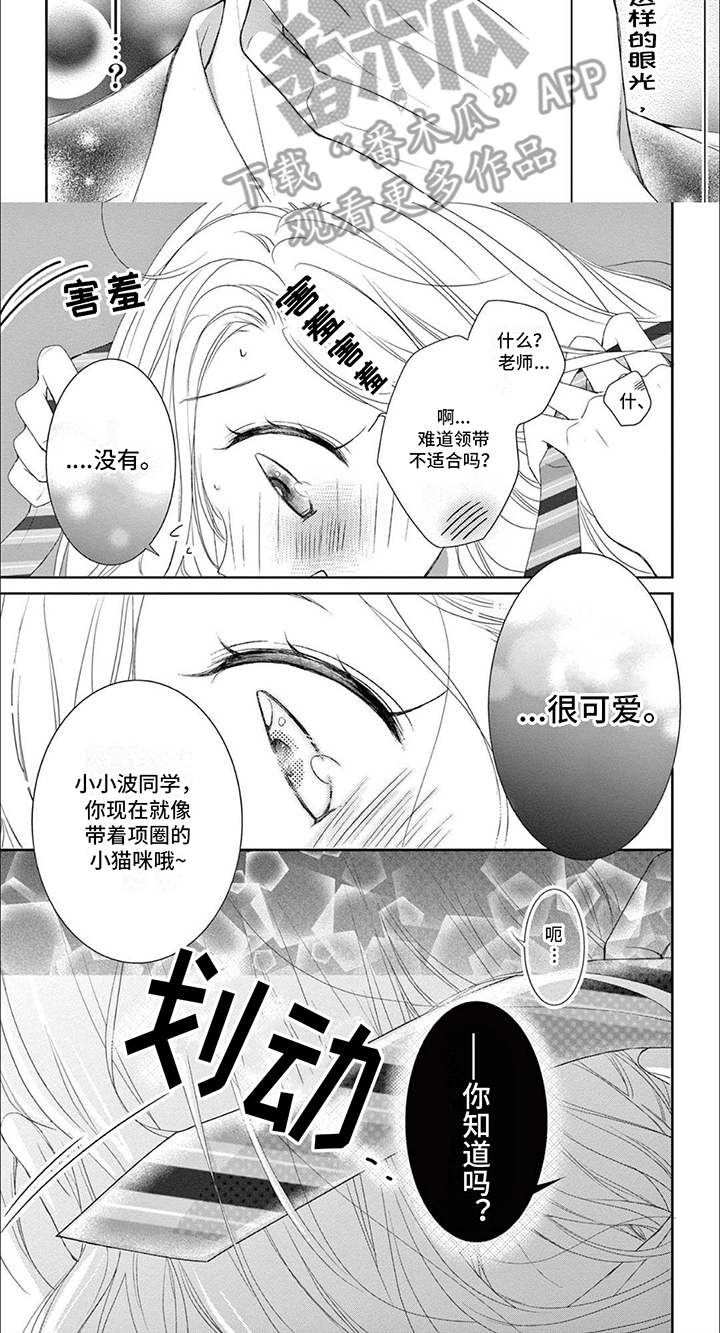 第10章：领带3