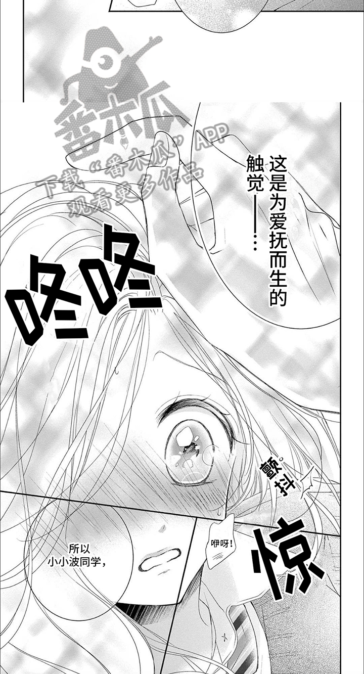 第12章：感触神经3