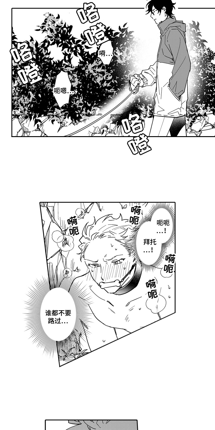 第13章：散步6