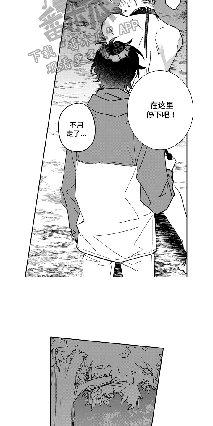 第13章：散步2