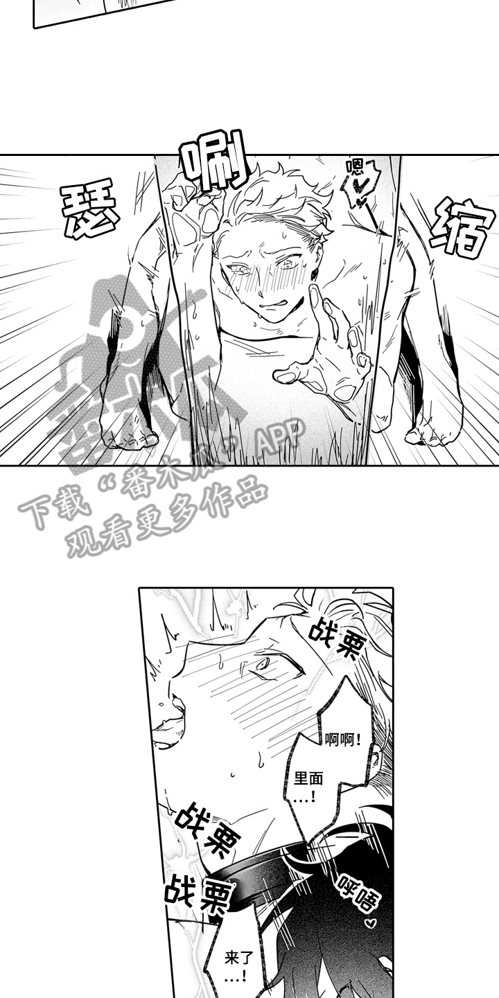 第13章：散步11