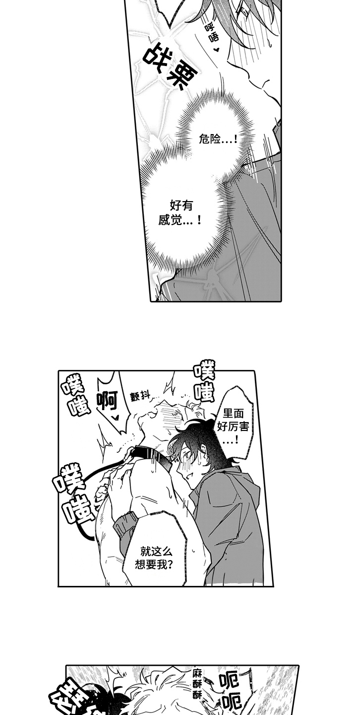 第13章：散步12