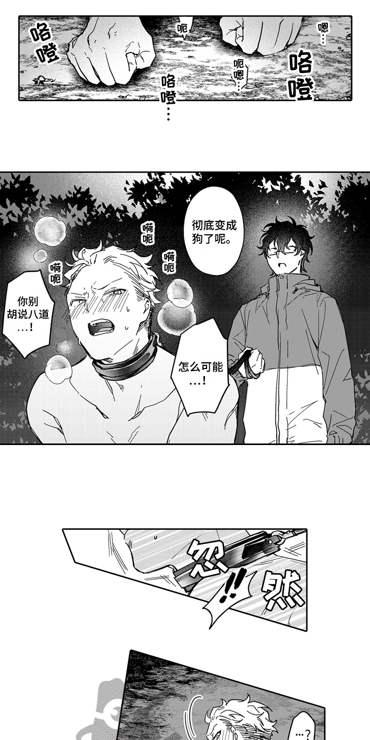 第13章：散步1